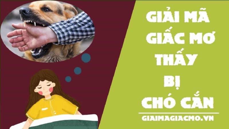 Chó Đẻ Ngày Tết là một truyện dân gian Việt Nam, kể về câu chuyện vui nhộn và đầy hài hước về một chú chó đẻ vào ngày Tết, mang đến niềm vui và may mắn cho gia đình.