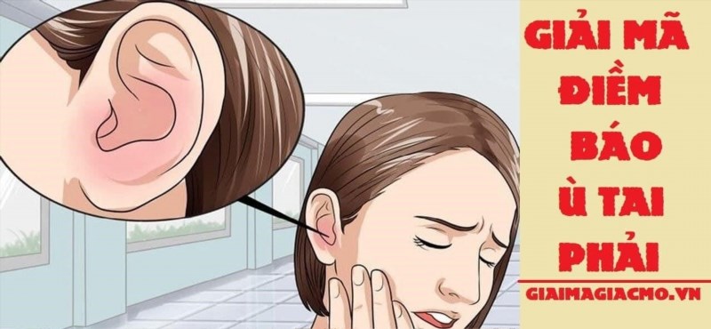 Hắt xì hơi 2 cái liên tục là một biểu hiện thông qua mũi của cơ thể, thường xảy ra khi có sự kích thích hoặc khi cơ thể đang cố gắng loại bỏ các chất cặn bã hoặc vi khuẩn gây hại.