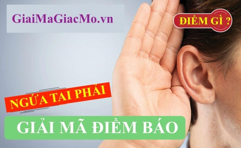 Hát xì hơi 2 lần vào giờ Dần (3h-5h sáng) là một truyền thống văn hóa đặc biệt của người dân Việt Nam, được thực hiện nhằm mục đích tạo ra âm thanh độc đáo và thu hút may mắn cho ngày mới.