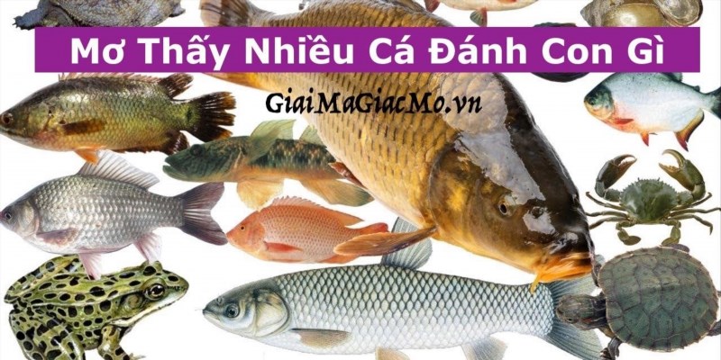 Nằm Mơ Câu Được Cá To Đánh là một trò chơi dân gian truyền thống của người Việt Nam, trong đó người chơi thường mơ thấy mình câu được một con cá to. Trò chơi này thường được chơi trong các buổi tối hoặc trong những ngày nghỉ, và được xem là một cách giải trí thú vị và may mắn.