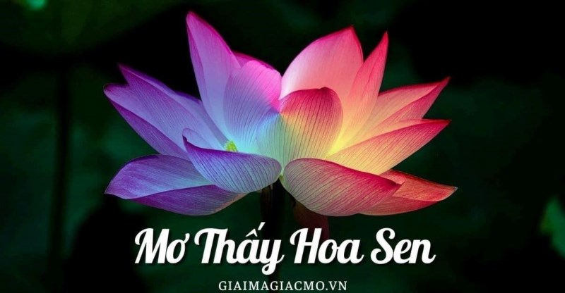 Nằm Mơ Thấy Hoa Sen là một biểu tượng của sự thanh tịnh và tinh khiết trong văn hóa Việt Nam, mang ý nghĩa tốt lành và may mắn.