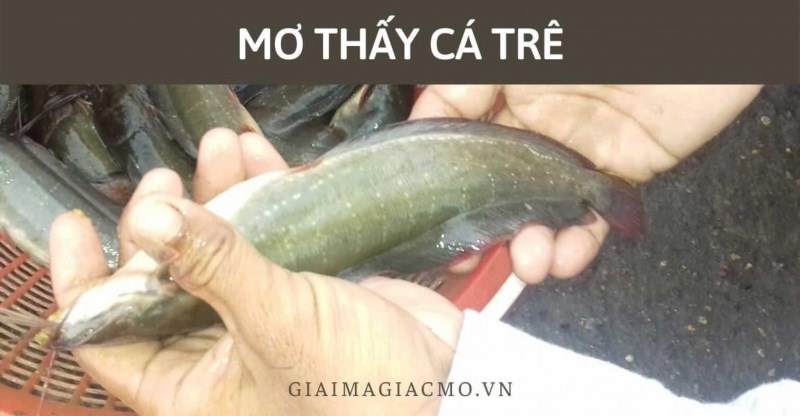 Nằm Mơ Câu Được Cá To Đánh là một trò chơi dân gian truyền thống của người Việt Nam, nơi người chơi sẽ mơ thấy việc câu được một con cá to và từ đó đoán xem con cá đó là loài gì.
