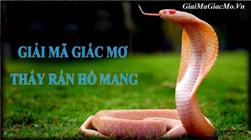 Giải Mã Giấc Mơ Thấy Rồng Phun Nước có thể được hiểu là tượng trưng cho sự mạnh mẽ, quyền lực và sự bảo vệ. Rồng là một biểu tượng quan trọng trong văn hóa Á Đông, thường được liên kết với sự thịnh vượng, may mắn và thành công. Hình ảnh rồng phun nước có thể đại diện cho sức mạnh và sự sáng tạo, mang lại niềm vui và cảm giác bình an.